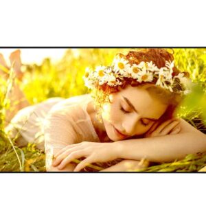 Monitor Profesional LG 75UL3Q: Liderazgo Visual 4K UHD para Empresas